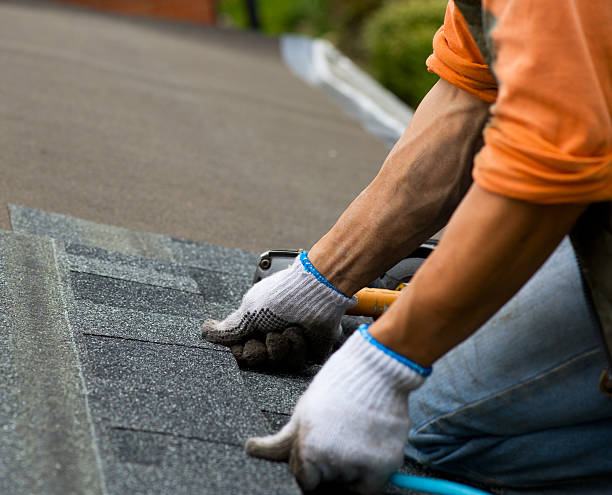 Best Residential Roofing Contractor  in Hudsonville, MI