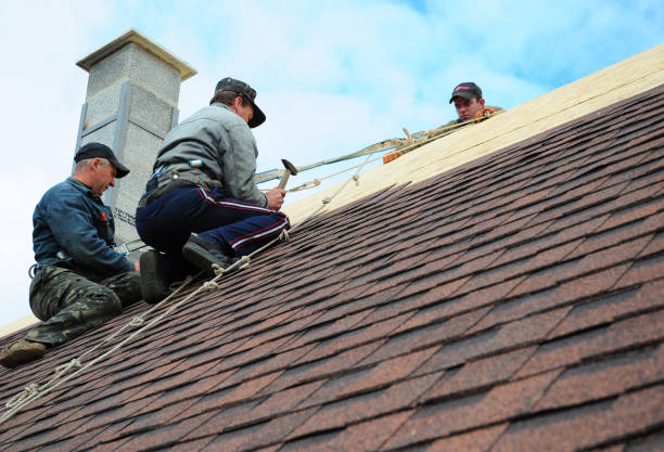Best Roof Repair Services  in Hudsonville, MI