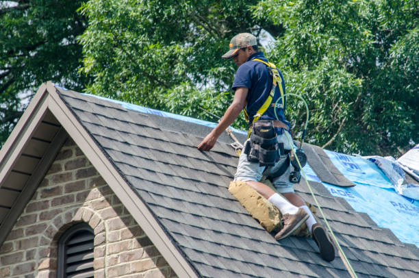 Best Local Roofing Companies  in Hudsonville, MI